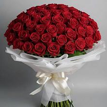 Букет 101 Красная роза Блэк Мэджик в Наро-Фоминске