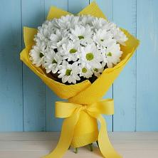 Букет цветов из:  Хризантемы в Наро-Фоминске