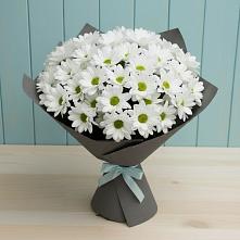 Букет цветов из:  Хризантемы #REPLACE_PRED# Наро-Фоминске
