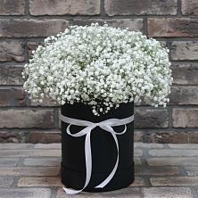 Цветочная композиция из Гипсофила в шляпной коробке в Наро-Фоминске