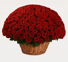 Премиум букет из: Розы в Наро-Фоминске